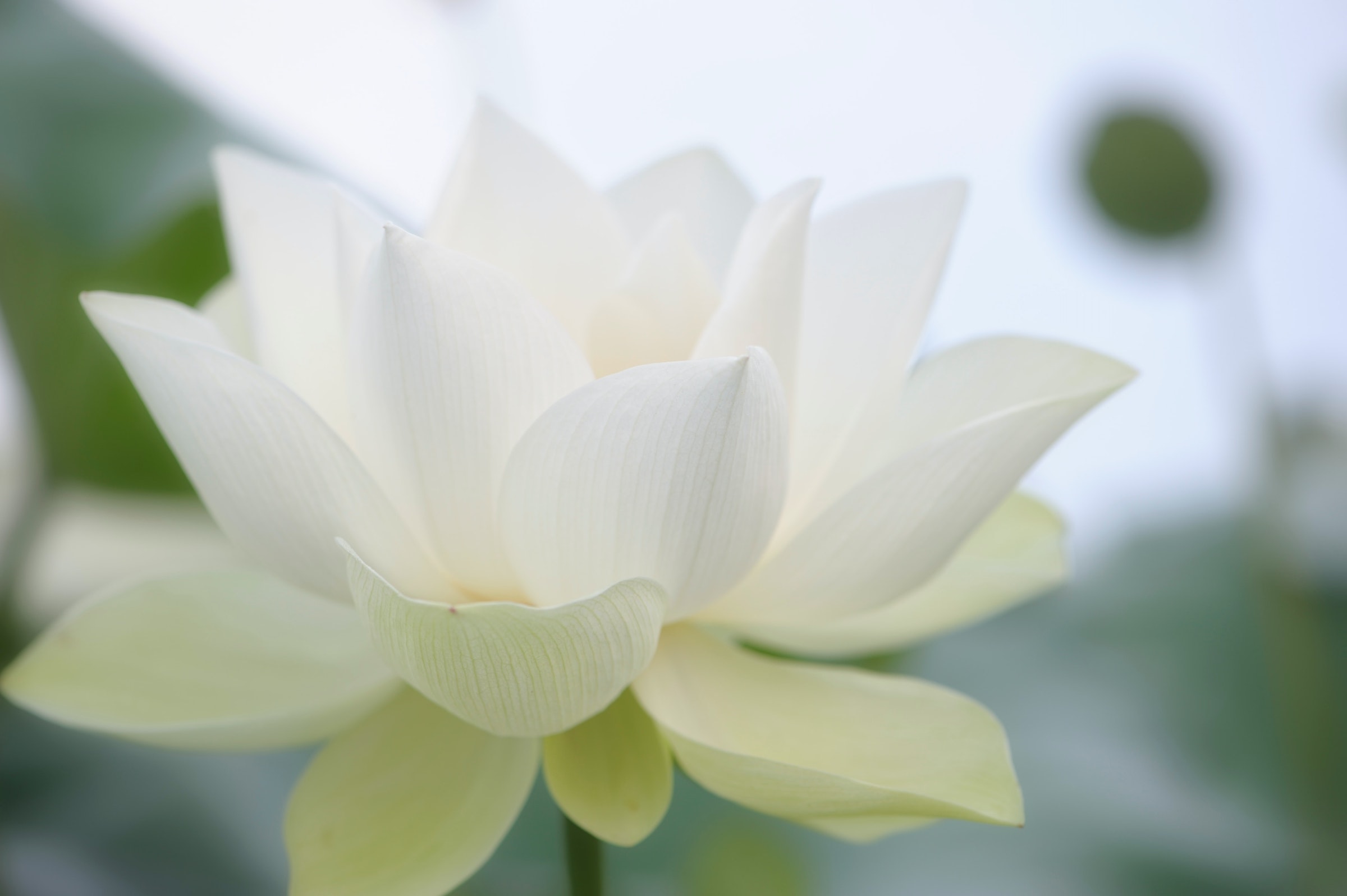 he-zhu-1YODHOIj46Q-unsplash